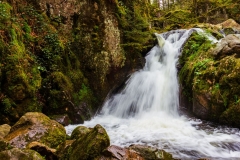 Cascade du Tendon