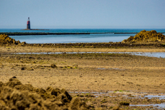 Cotentin-8