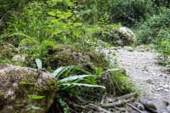 Donareo3