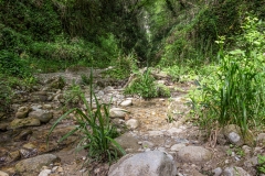Donareo6