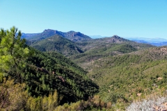 Esterel-4