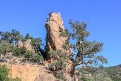 Esterel-5