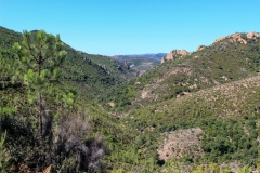 Esterel-6