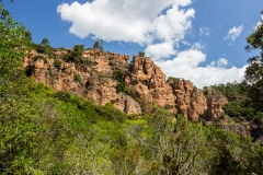 Esterel-8