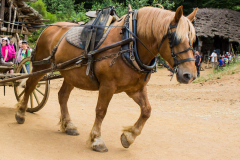 Guédelon