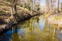 Le Reyran en amont du barrage
