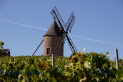 Moulin-11