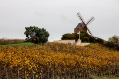 Moulin-12