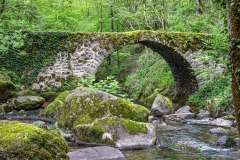 Peyrusse-le-Roc  - pont sur le ruisseau d'Audiernes