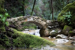Pont sur le Bruguet (Valbonne)
