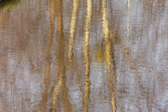 Reflet-10
