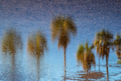 Reflet-7