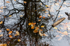 Reflet-9