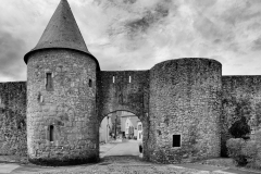 Metz-6