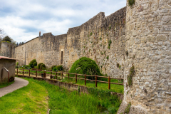 Metz-7