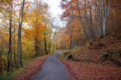 Valgaudemar-1